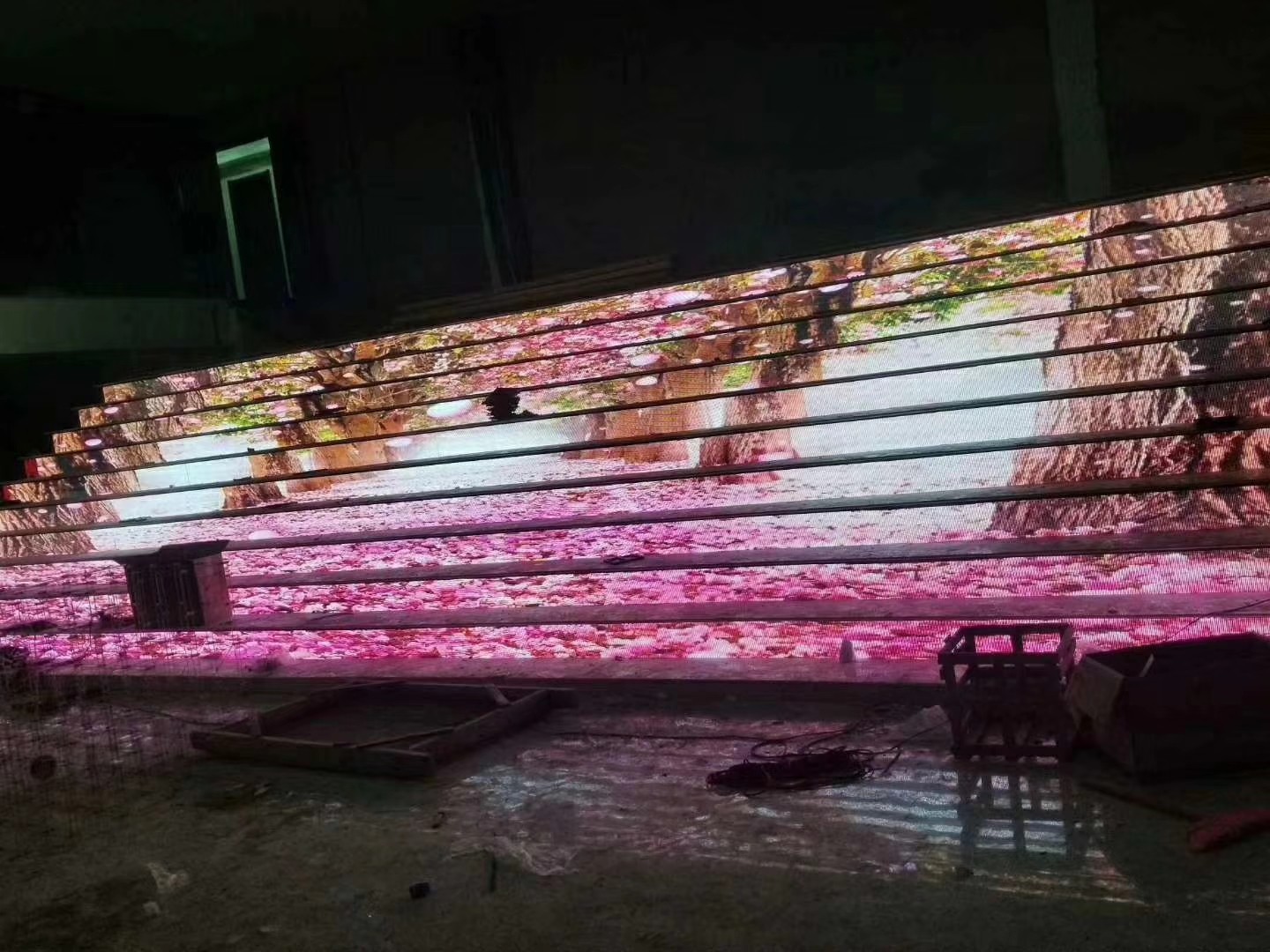 1567773417990677.jpg 1567773417990677.jpg